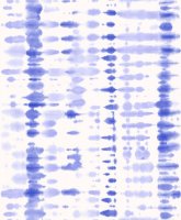 Обои Grandeco, колл. Village People арт. VP 3101