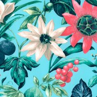 Обои Grandeco, колл. Botanical арт. BA2002