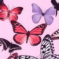 Обои Grandeco, колл. Botanical арт. BA2601