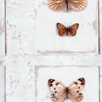 Обои Grandeco, колл. Splendour арт. SD2001