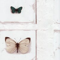 Обои Grandeco, колл. Splendour арт. SD2022