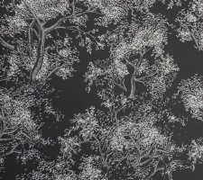 Обои Khroma, колл. Kwai арт. KWA501