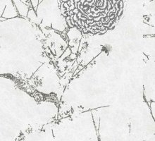 Обои Khroma, колл. Mankai арт. MAN002