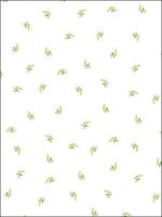 Обои Norwall, колл. Pretty Prints арт. WTG-143923