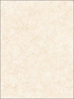 Обои Norwall, колл. Pretty Prints арт. WTG-143931