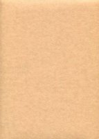 Обои Caselio, колл. Obsession арт. OBS 17412127