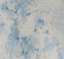 Обои P+s International, колл. Flower Power арт. 2470-42