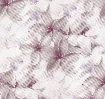 Обои P+s International, колл. Fashion for Walls арт. 02469-10