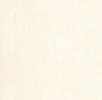 Обои P+s international, колл. Seasons арт. 02506-00