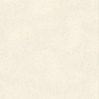 Обои Rasch, колл. Jolly арт. 970135