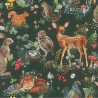 Обои Rasch, колл. Kids World арт. 300338