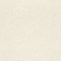 Обои Rasch, колл. Metal Spirit арт. 977103