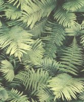 Обои Rasch, колл. Barbara Becker 6 арт. 860917