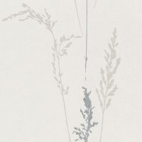 Обои Rasch, колл. Charlene арт. 456011