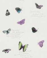 Обои Rasch, колл. Freundin арт. 436808