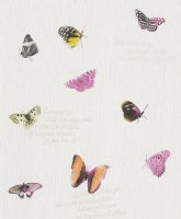 Обои Rasch, колл. Freundin арт. 436815