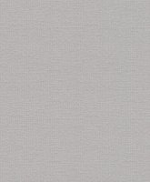 Обои Rasch, колл. Home Vision арт. 426434