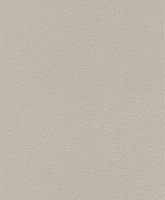 Обои Rasch, колл. Home Vision арт. 427202