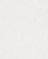 Обои Rasch, колл. Home Vision арт. 433715