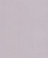 Обои Rasch, колл. Home Vision арт. 433739