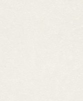 Обои Rasch, колл. Home Vision арт. 433746