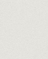 Обои Rasch, колл. Home Vision арт. 433753