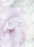 Обои Rasch, колл. Maximum XII арт. 928532