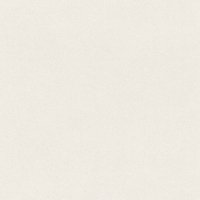 Обои Rasch, колл. Passepartout арт. 607239