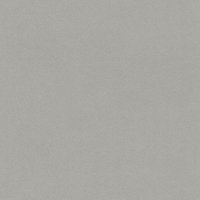 Обои Rasch, колл. Passepartout арт. 607253