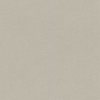 Обои Rasch, колл. Passepartout арт. 607284