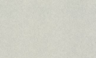 Обои Rasch, колл. Raymond арт. 957310