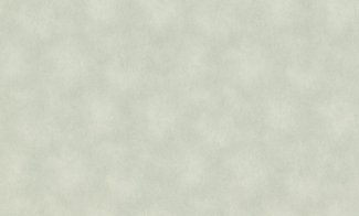 Обои Rasch, колл. Raymond арт. 957358