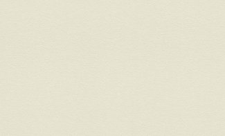 Обои Rasch, колл. Maximum 10 арт. 924800