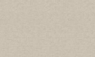 Обои Rasch, колл. Maximum 10 арт. 924824