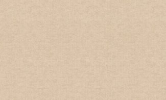 Обои Rasch, колл. Maximum 10 арт. 924848