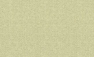 Обои Rasch, колл. Maximum 10 арт. 924855