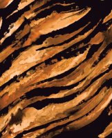 Обои Seabrook, колл. Living With Art арт. LW41005