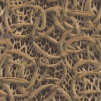 Обои Emiliana parati, колл. Roberto Cavalli Home 7 арт. RC18015