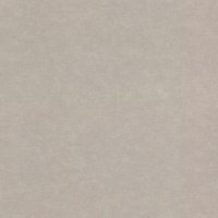 Обои Rasch, колл. Come Home арт. 910056