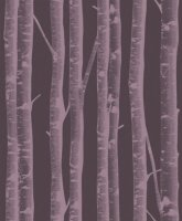 Обои Khroma, колл. Silence арт. SIL 304