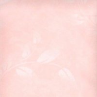 Обои Sandudd, колл. Tupla-Rolleri арт. 20010