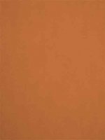 Обои Ugepa, колл. Couleurs арт. F79305