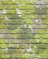 Обои Ugepa, колл. Freestyle арт. L33504