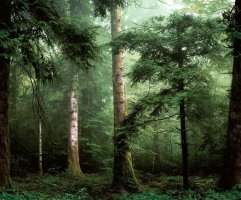 Обои Ugepa, колл. Horizons арт. L59604