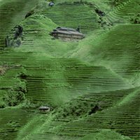 Обои Ugepa, колл. Home арт. L32904