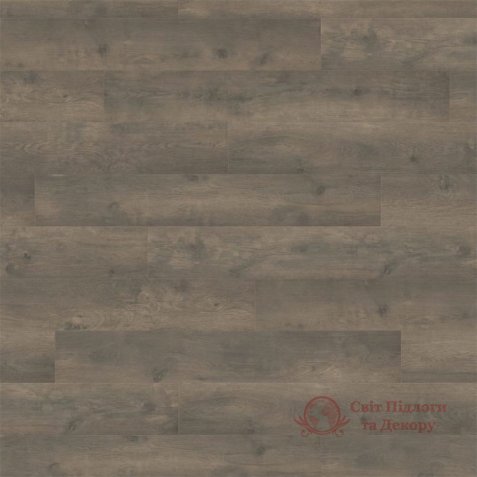 Ламінат Haro, кол. Tritty 100, Дуб Бергамо карбон 538694 фото №1 Ламінат Haro, кол. Tritty 100, Дуб Бергамо карбон 538694 фото №1