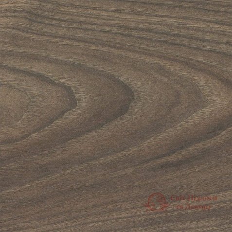 Ламінат Haro, кол. Tritty 100, Акація Варіо 544723 фото №2 Ламінат Haro, кол. Tritty 100, Акація Варіо 544723 фото №2