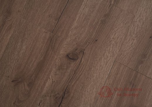 Виниловая плитка Vinilam Collection click 3,7 mm, Дуб Норден 8861 фото №1