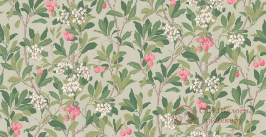 Обои Cole & Son, колл. Archive anthology арт. 100/10048 фото №1