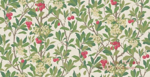 Обои Cole & Son, колл. Archive anthology арт. 100/10049 фото №1